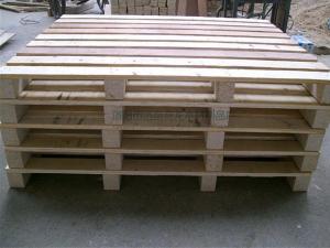 thumb_20231120174000_6318.jpg
